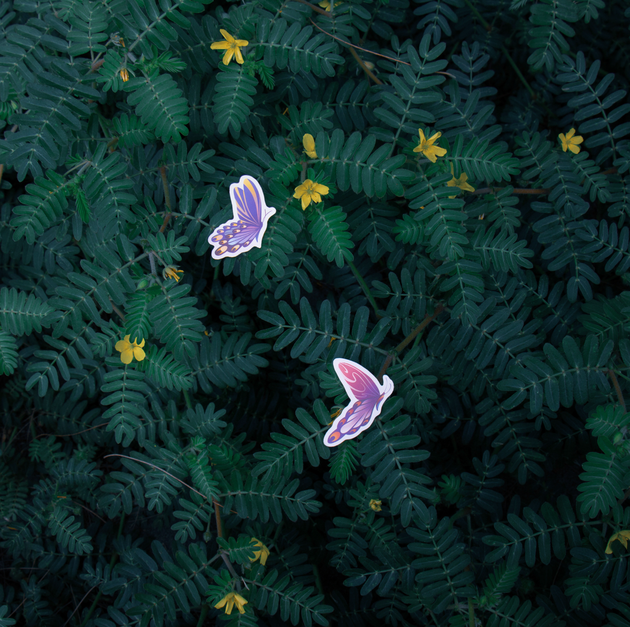 Exdoforest Sticker Pack