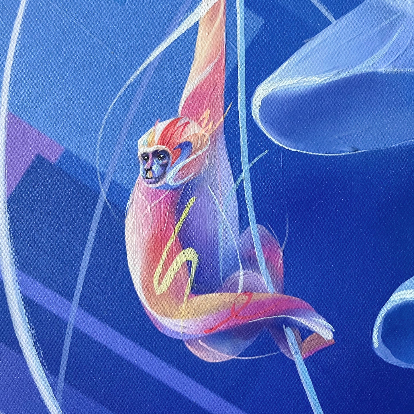 Jellyfish Princess