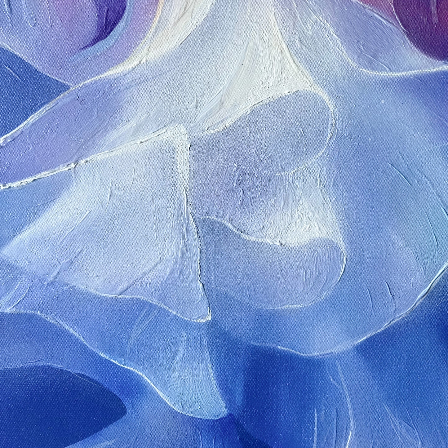 Jellyfish Princess